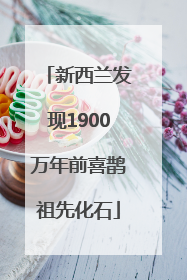 新西兰发现1900万年前喜鹊祖先化石