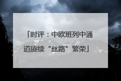时评：中欧班列中通道赓续“丝路”繁荣