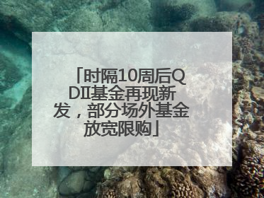 时隔10周后QDII基金再现新发，部分场外基金放宽限购