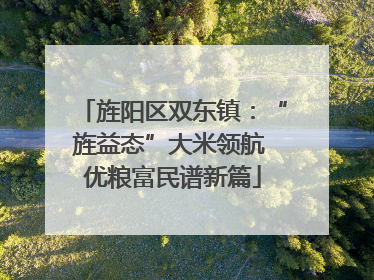旌阳区双东镇：“旌益态”大米领航 优粮富民谱新篇
