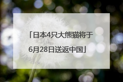 日本4只大熊猫将于6月28日送返中国