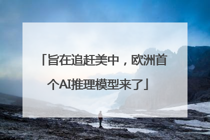 旨在追赶美中，欧洲首个AI推理模型来了