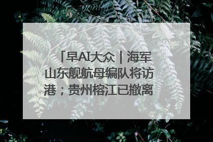 早AI大众｜海军山东舰航母编队将访港；贵州榕江已撤离转移群众超4万人