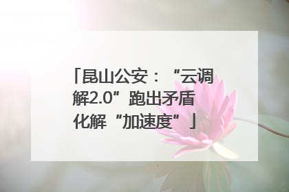 昆山公安：“云调解2.0”跑出矛盾化解“加速度”