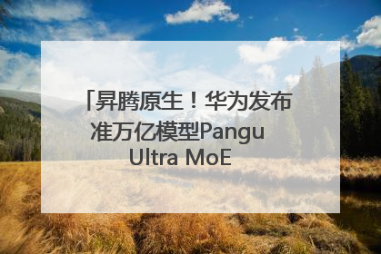 昇腾原生！华为发布准万亿模型Pangu Ultra MoE模型架构和训练细节