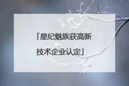 星纪魅族获高新技术企业认定