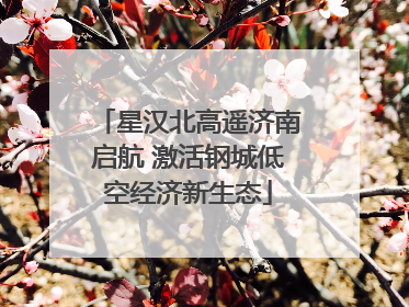 星汉北高遥济南启航 激活钢城低空经济新生态