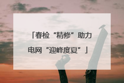 春检“精修”助力电网“迎峰度夏”