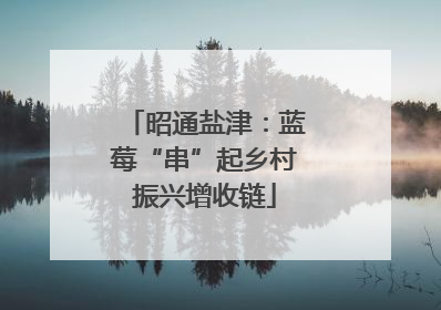 昭通盐津：蓝莓“串”起乡村振兴增收链