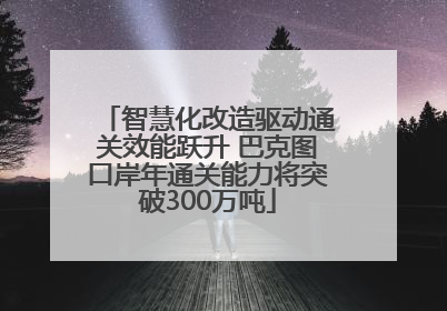 智慧化改造驱动通关效能跃升 巴克图口岸年通关能力将突破300万吨