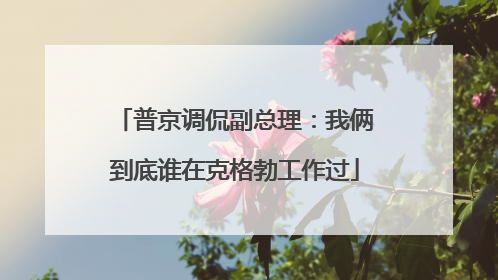 普京调侃副总理：我俩到底谁在克格勃工作过