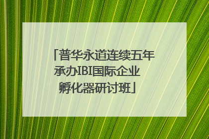 普华永道连续五年承办IBI国际企业孵化器研讨班