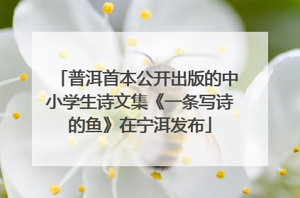 普洱首本公开出版的中小学生诗文集《一条写诗的鱼》在宁洱发布