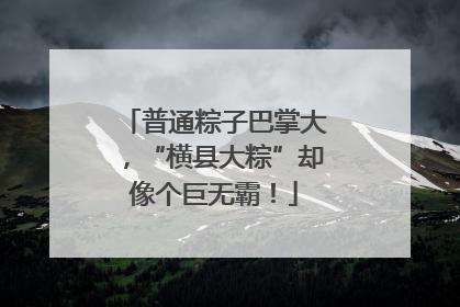 普通粽子巴掌大，“横县大粽”却像个巨无霸！