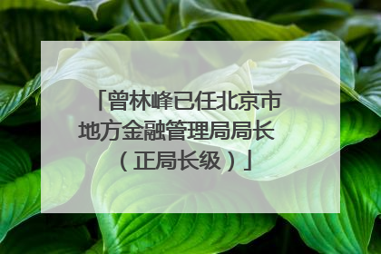 曾林峰已任北京市地方金融管理局局长（正局长级）