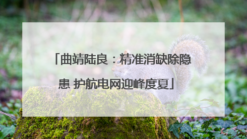 曲靖陆良：精准消缺除隐患 护航电网迎峰度夏