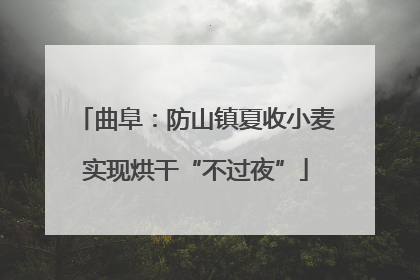 曲阜：防山镇夏收小麦实现烘干“不过夜”