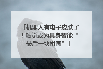 机器人有电子皮肤了！触觉或为具身智能“最后一块拼图”