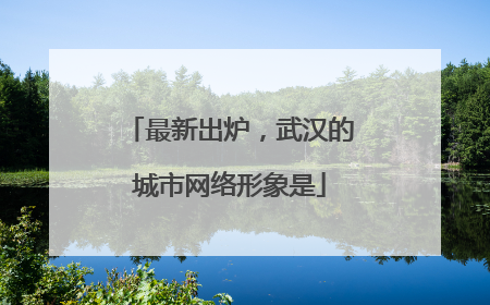 最新出炉，武汉的城市网络形象是