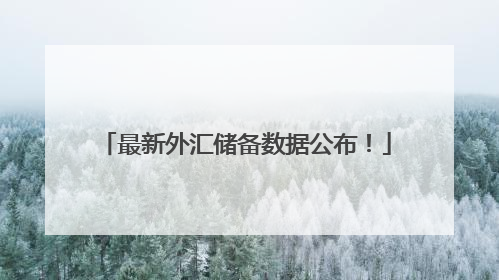 最新外汇储备数据公布！