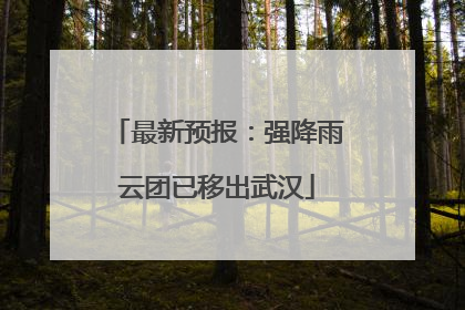 最新预报：强降雨云团已移出武汉