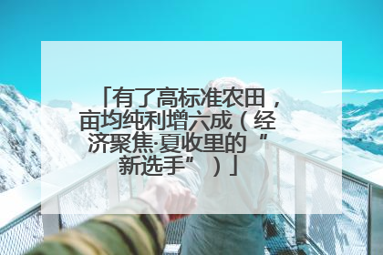 有了高标准农田，亩均纯利增六成（经济聚焦·夏收里的“新选手”）