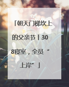 朝天门梯坎上的父亲节丨308寝室，全员“上岸”