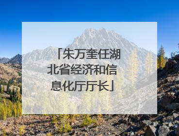 朱万奎任湖北省经济和信息化厅厅长