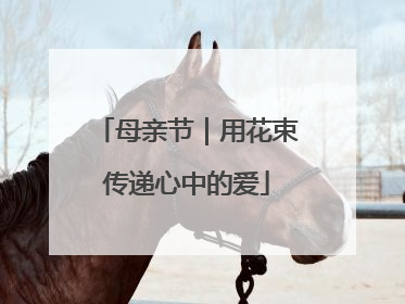 母亲节｜用花束传递心中的爱
