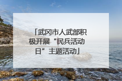 武冈市人武部积极开展“民兵活动日”主题活动