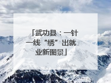 武功县：一针一线“绣”出就业新图景