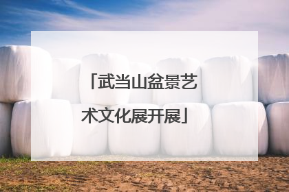 武当山盆景艺术文化展开展