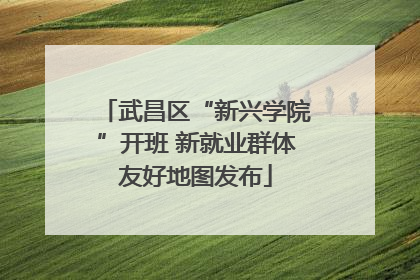 武昌区“新兴学院”开班 新就业群体友好地图发布