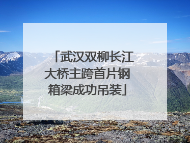 武汉双柳长江大桥主跨首片钢箱梁成功吊装