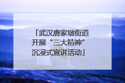 武汉唐家墩街道开展“三大精神”沉浸式宣讲活动