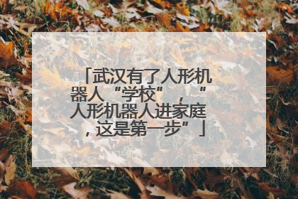 武汉有了人形机器人“学校”，“人形机器人进家庭，这是第一步”