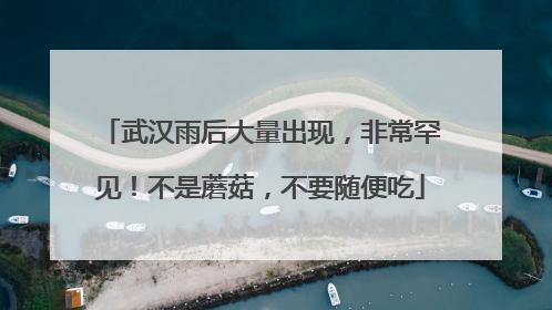 武汉雨后大量出现，非常罕见！不是蘑菇，不要随便吃