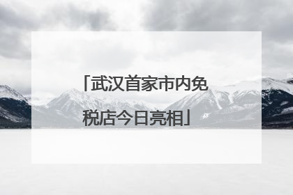 武汉首家市内免税店今日亮相
