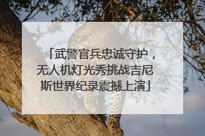 武警官兵忠诚守护，无人机灯光秀挑战吉尼斯世界纪录震撼上演