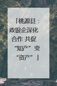 桃源县：政银企深化合作 共促“知产”变“资产”