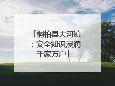 桐柏县大河镇：安全知识浸润千家万户