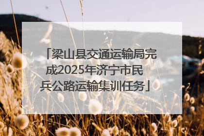 梁山县交通运输局完成2025年济宁市民兵公路运输集训任务