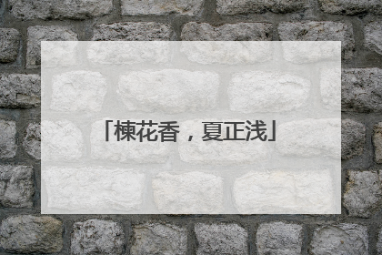 楝花香，夏正浅