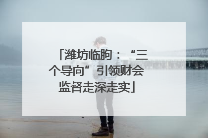 潍坊临朐：“三个导向”引领财会监督走深走实