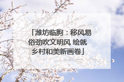 潍坊临朐：移风易俗劲吹文明风 绘就乡村和美新画卷