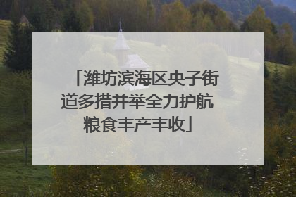 潍坊滨海区央子街道多措并举全力护航粮食丰产丰收