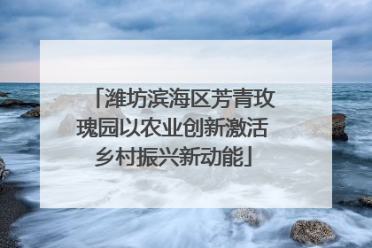 潍坊滨海区芳青玫瑰园以农业创新激活乡村振兴新动能