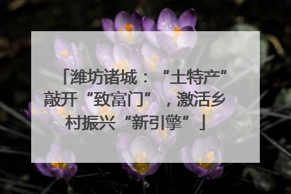 潍坊诸城：“土特产”敲开“致富门”，激活乡村振兴“新引擎”