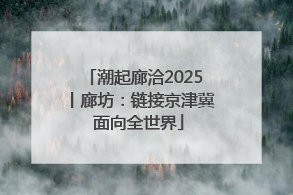 潮起廊洽2025丨廊坊：链接京津冀 面向全世界