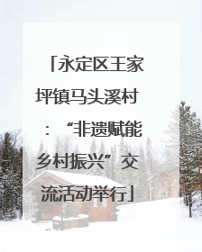永定区王家坪镇马头溪村：“非遗赋能乡村振兴”交流活动举行